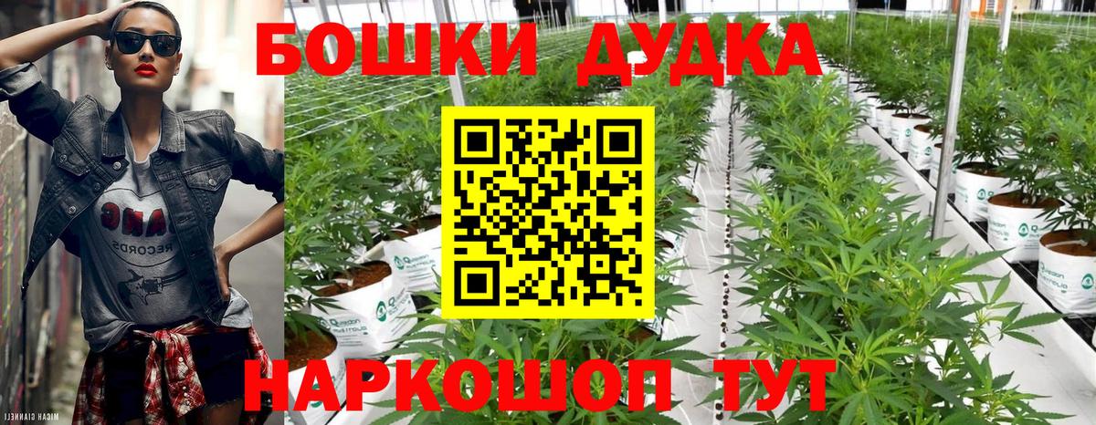 Бошки Шишки гибрид Аксай
